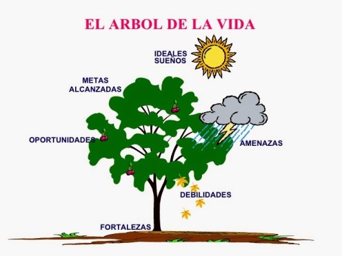 proyecto-arbol-vida-1-728